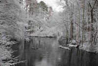 Winter Snow on the Lumber River